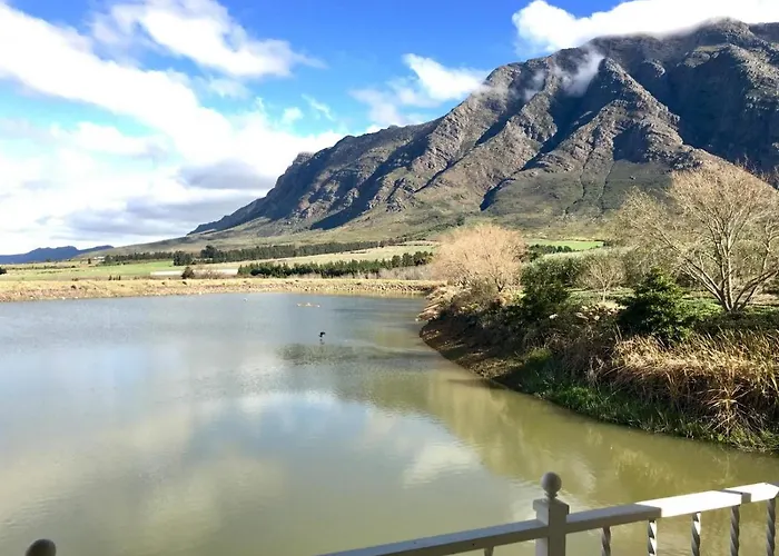 The Boathouse At Oakhurst Olives